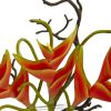 Heliconia in Glass Vase