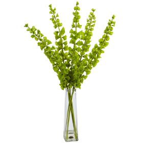 Bells of Ireland in Glass Vase