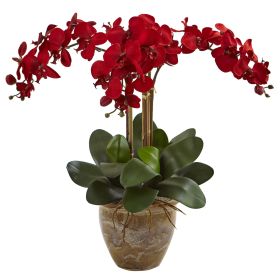 Seasonal Triple Phalaenopsis Orchid Arrangement