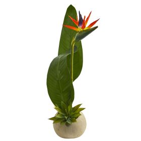 Bird of Paradise and Succulent Artificial Arrangement