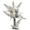 Gladiolas (Set of 12)