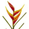 Heliconia Artificial Flower (Set of 4)