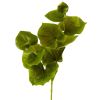 Lotus Artificial Leaf (Set of 12)