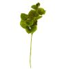 Lotus Artificial Leaf (Set of 12)