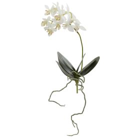 Mini Orchid Phalaenopsis Artificial Flower (Set of 6)