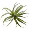 Air Plant Artificial Succulent (Set of 12)