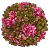 Artificial Kalanchoe Ball (Set of 6)