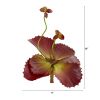 Succulent Artificial Plant (Set of 12)