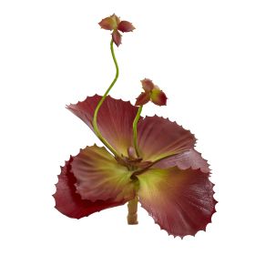 Succulent Artificial Plant (Set of 12)