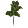 Magnolia Artificial Leaf (Set of 6)