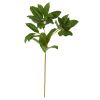 Laurel Leaf Artificial Spray (Set of 6)