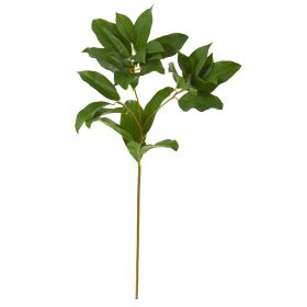 Laurel Leaf Artificial Spray (Set of 6)