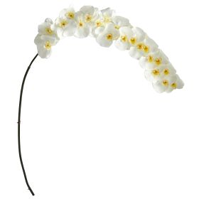 Large Phalaenopsis Orchid Artificial Flower (Set of 2)