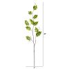 Wisteria Foliage Artificial Flower (Set of 6)