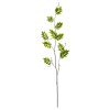 Wisteria Foliage Artificial Flower (Set of 6)