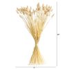 Dried Wheat Stalks Bundle (Set of 2)