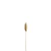 Dried Wheat Stalks Bundle (Set of 2)