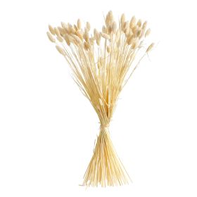 Dried Wheat Stalks Bundle (Set of 2)