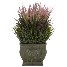 Mixed Grass Plant (Indoor/Outdoor)
