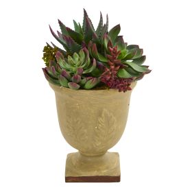 Mixed Succulent Plant