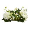 Hydrangea Candelabrum
