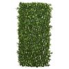 Podocarpus Expandable Fence UV Resistant & Waterproof