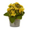 Kalanchoe Artificial Plants (Set of 3)