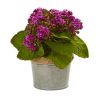 Kalanchoe Artificial Plants (Set of 3)