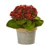 Kalanchoe Artificial Plants (Set of 3)