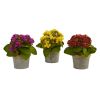Kalanchoe Artificial Plants (Set of 3)