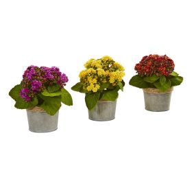 Kalanchoe Artificial Plants (Set of 3)