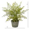Maiden Hair Artificial Plant in Decorative Planter