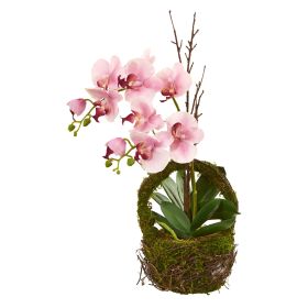 Phalaenopsis Orchid Artificial Arrangement in Basket
