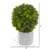 Boxwood Artificial Mini Topiary (Set of 3)