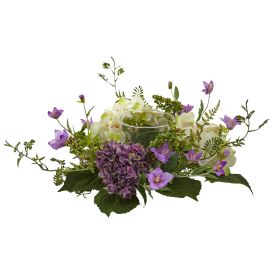 Hydrangea Berry C/HX1