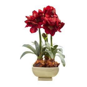 Amarylis Arrangement