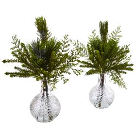 Mixed Pine in Glass Vase (Set of 2)