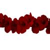 Amaryllis Garland