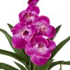 Vanda Orchid Hanging Basket