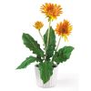 Gerber Daisy w/White Glazed Pot