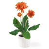 Gerber Daisy w/White Glazed Pot