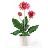 Gerber Daisy w/White Glazed Pot