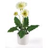 Gerber Daisy w/White Glazed Pot