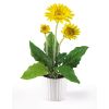 Gerber Daisy w/White Glazed Pot
