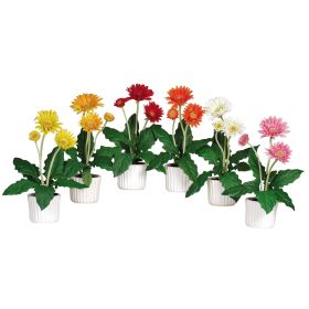 Gerber Daisy w/White Glazed Pot