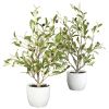 Olive Tree w/Vase (Set of 2)