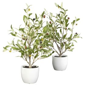 Olive Tree w/Vase (Set of 2)