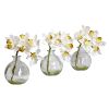 Cymbidium w/Vase (Set of 3)