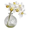 Cymbidium w/Vase (Set of 3)