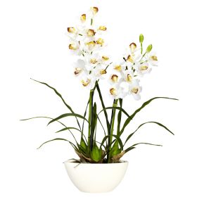Cymbidium w/White Vase